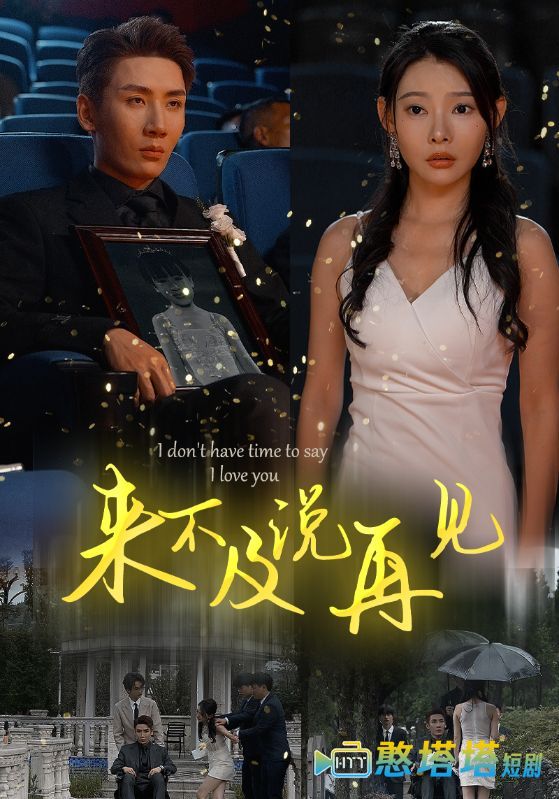 来不及说再见