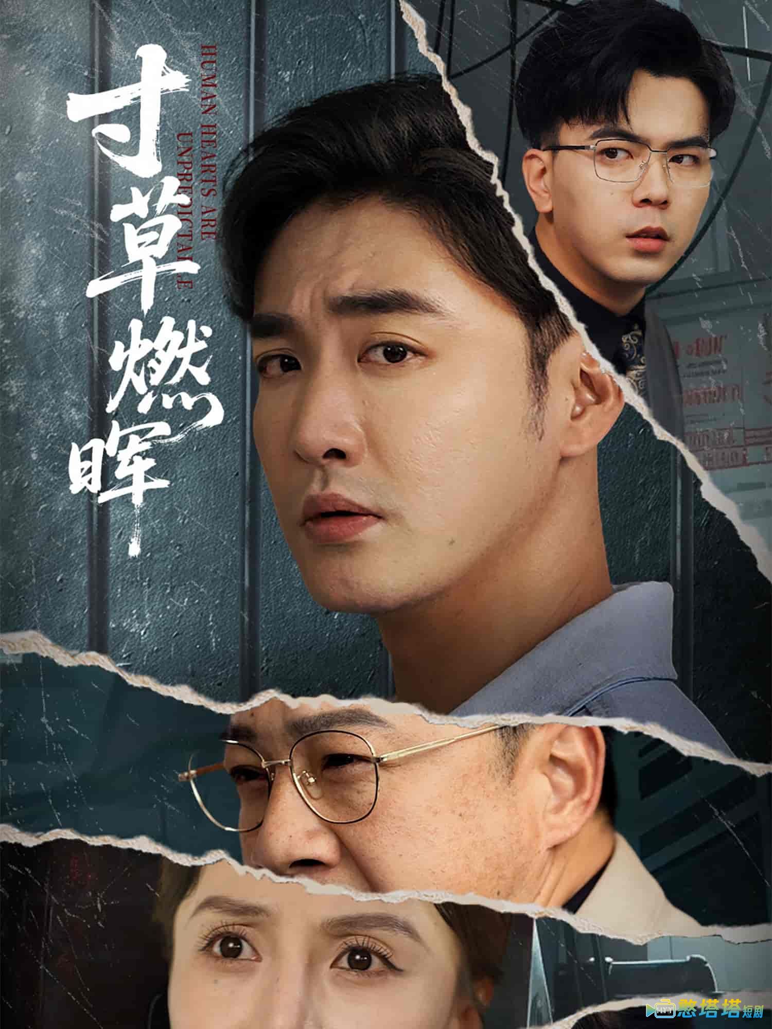 寸草燃晖全集在线观看