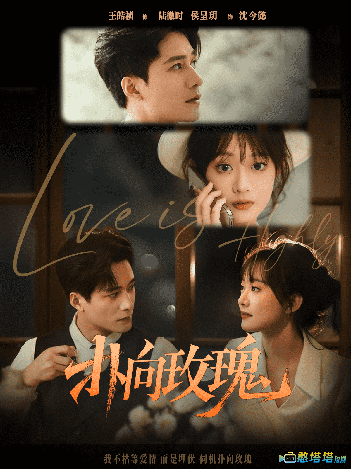 扑向玫瑰全集在线观看