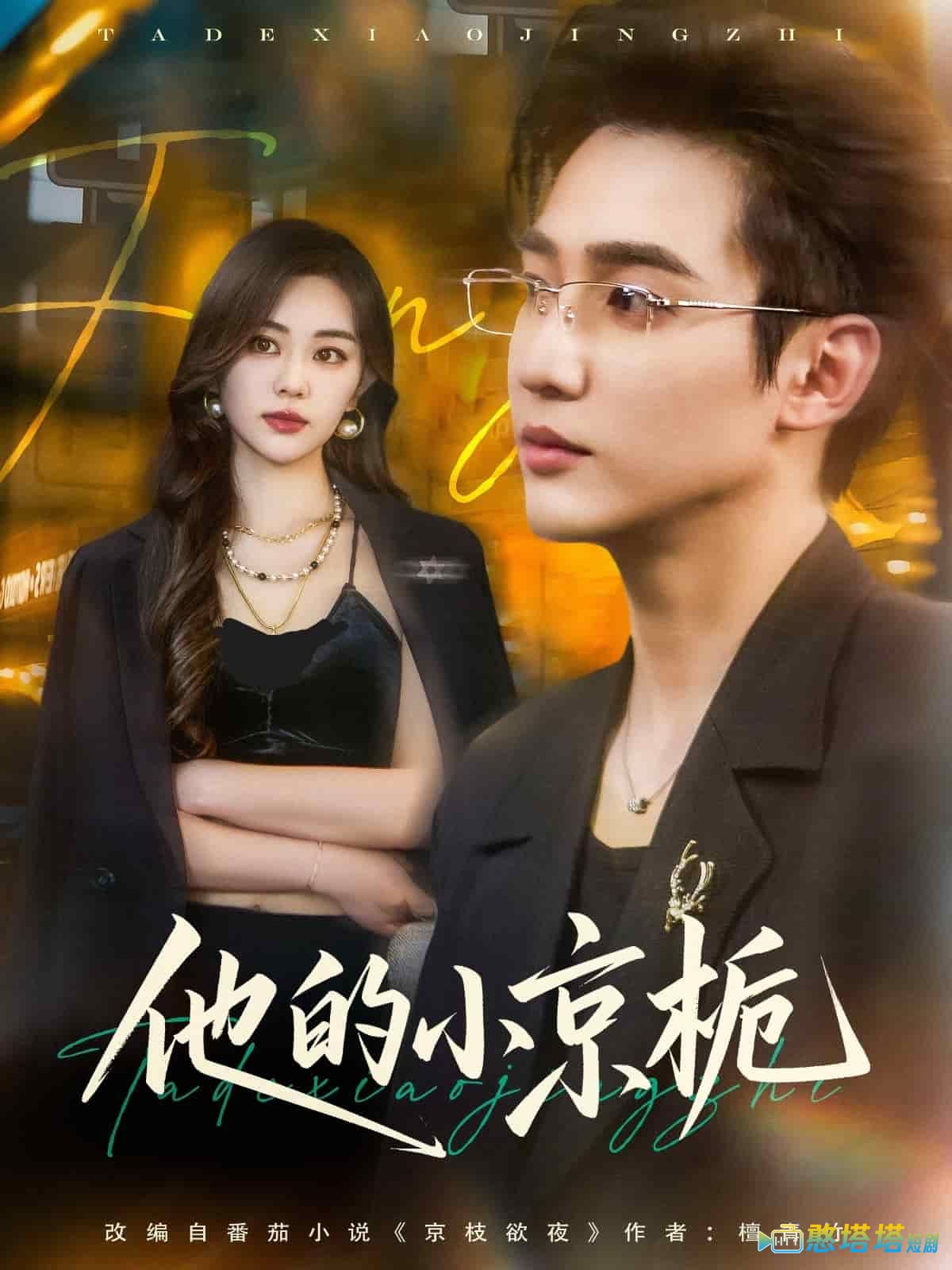 他的小京栀全集在线观看