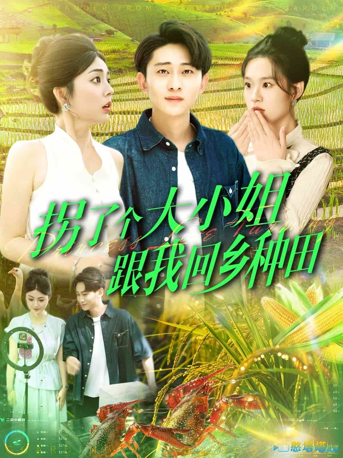 拐了个大小姐跟我回乡种田全集在线观看