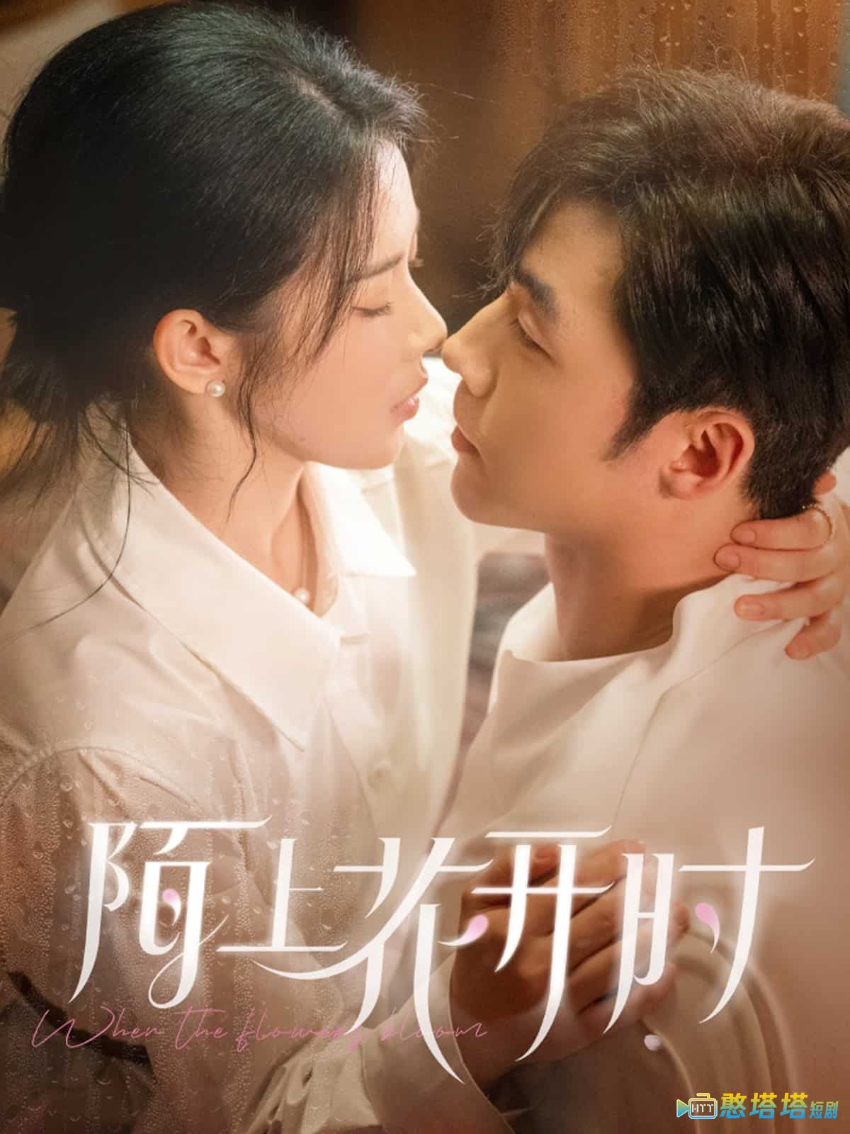 陌上花开时全集在线观看