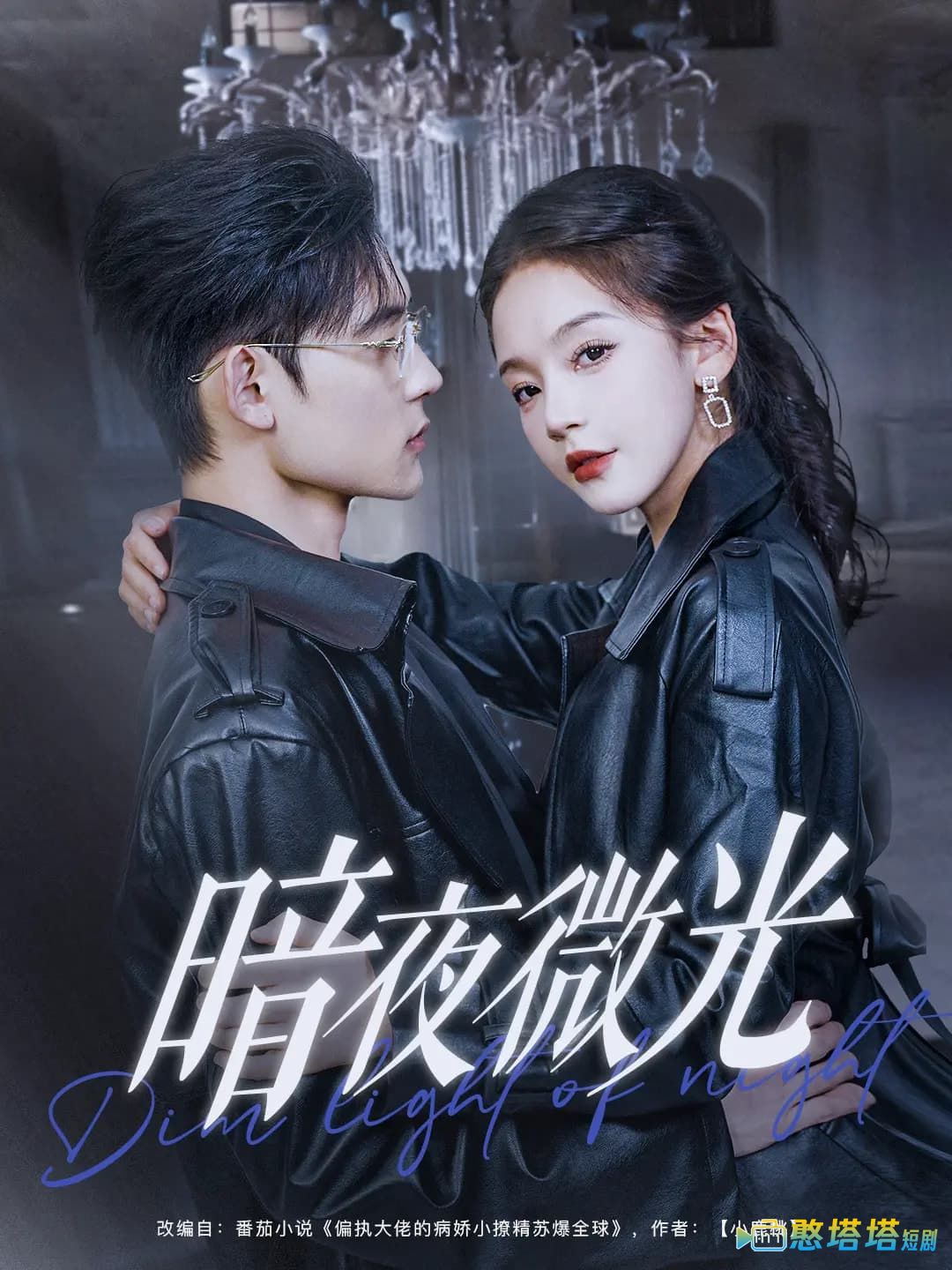 暗夜微光全集在线观看
