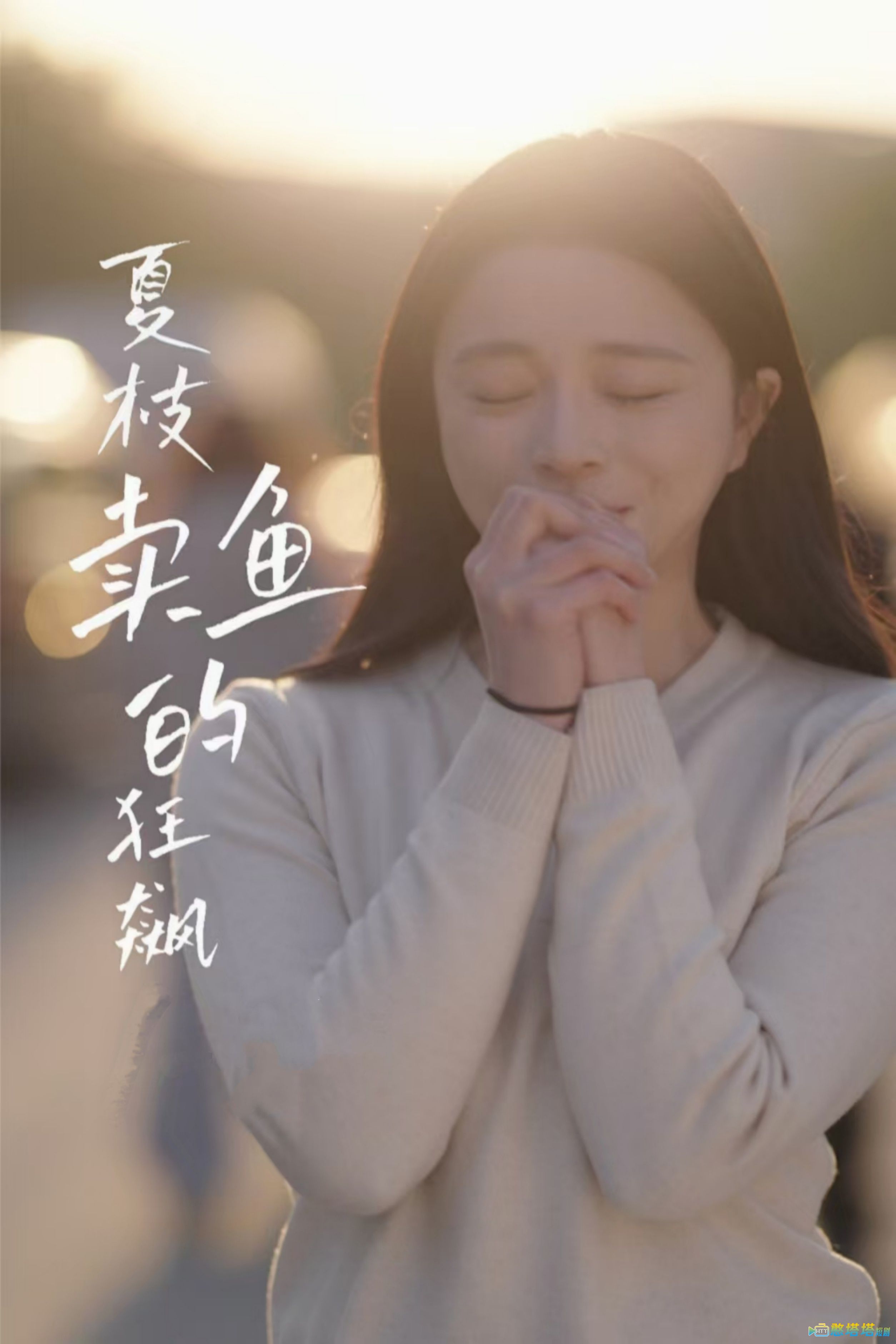 夏枝卖鱼的狂飙人生全集在线观看
