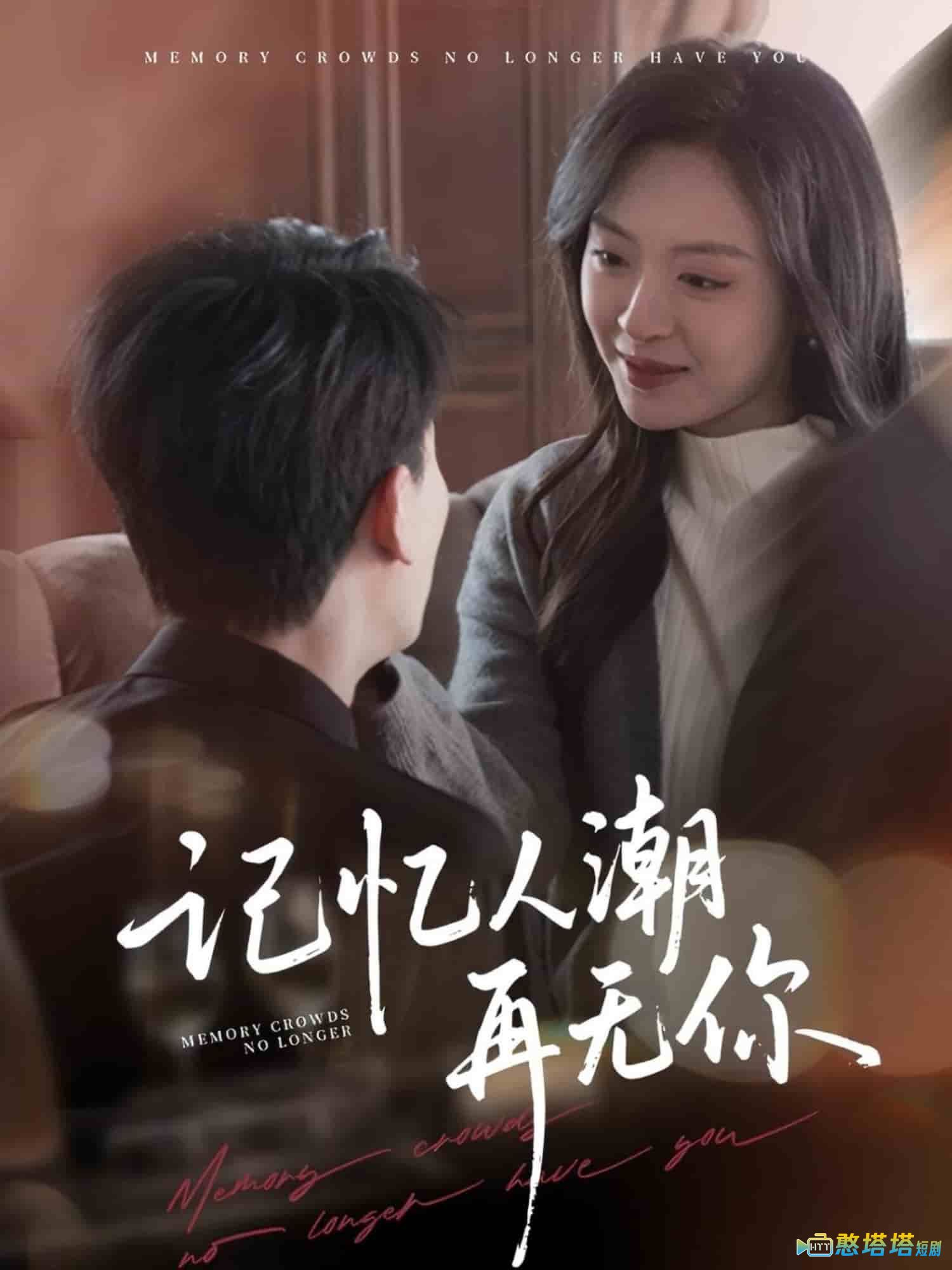 记忆人潮再无你全集在线观看