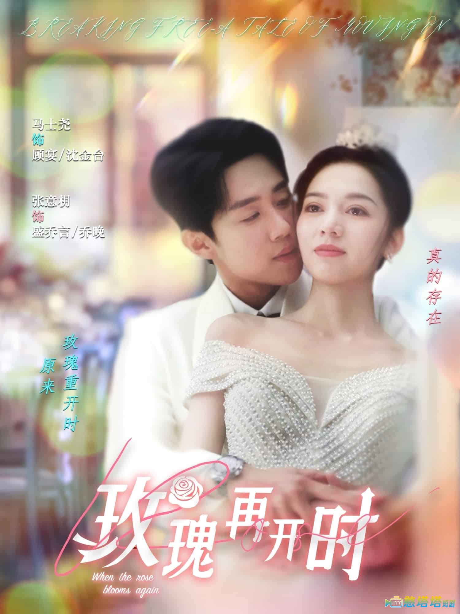 玫瑰再开时全集在线观看
