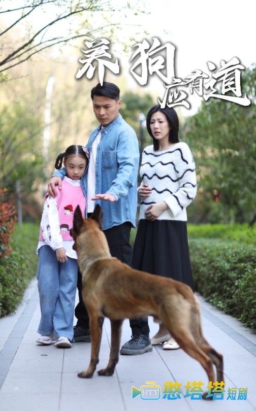 养狗应有道全集在线观看