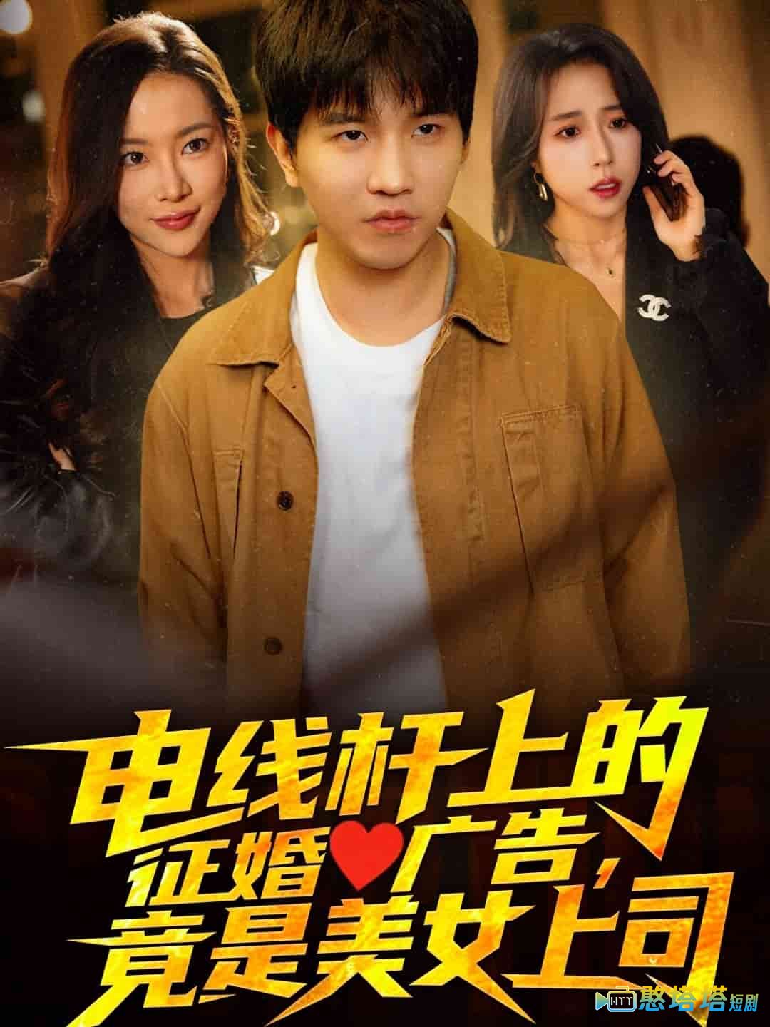 电线杆上的征婚广告,竟是美女上司全集在线观看