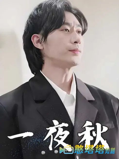 陆少宠妻如命