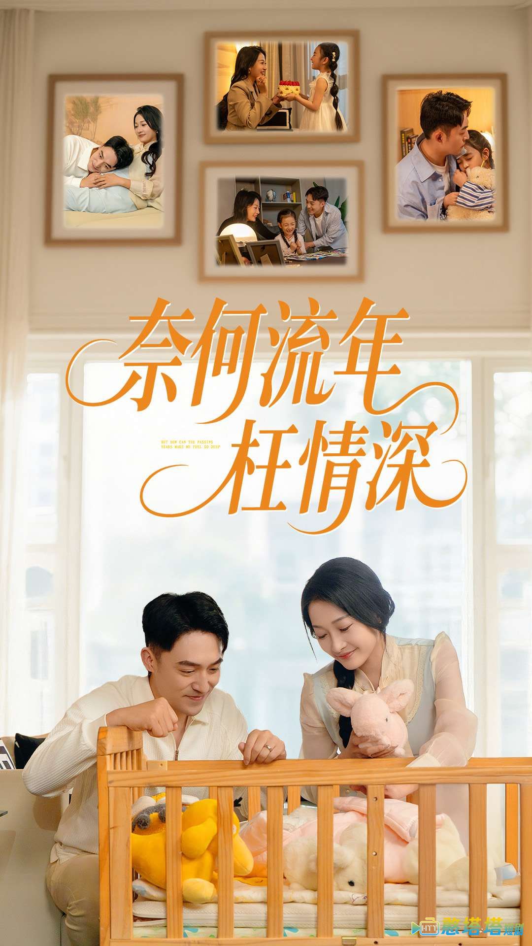 奈何流年枉情深全集在线观看