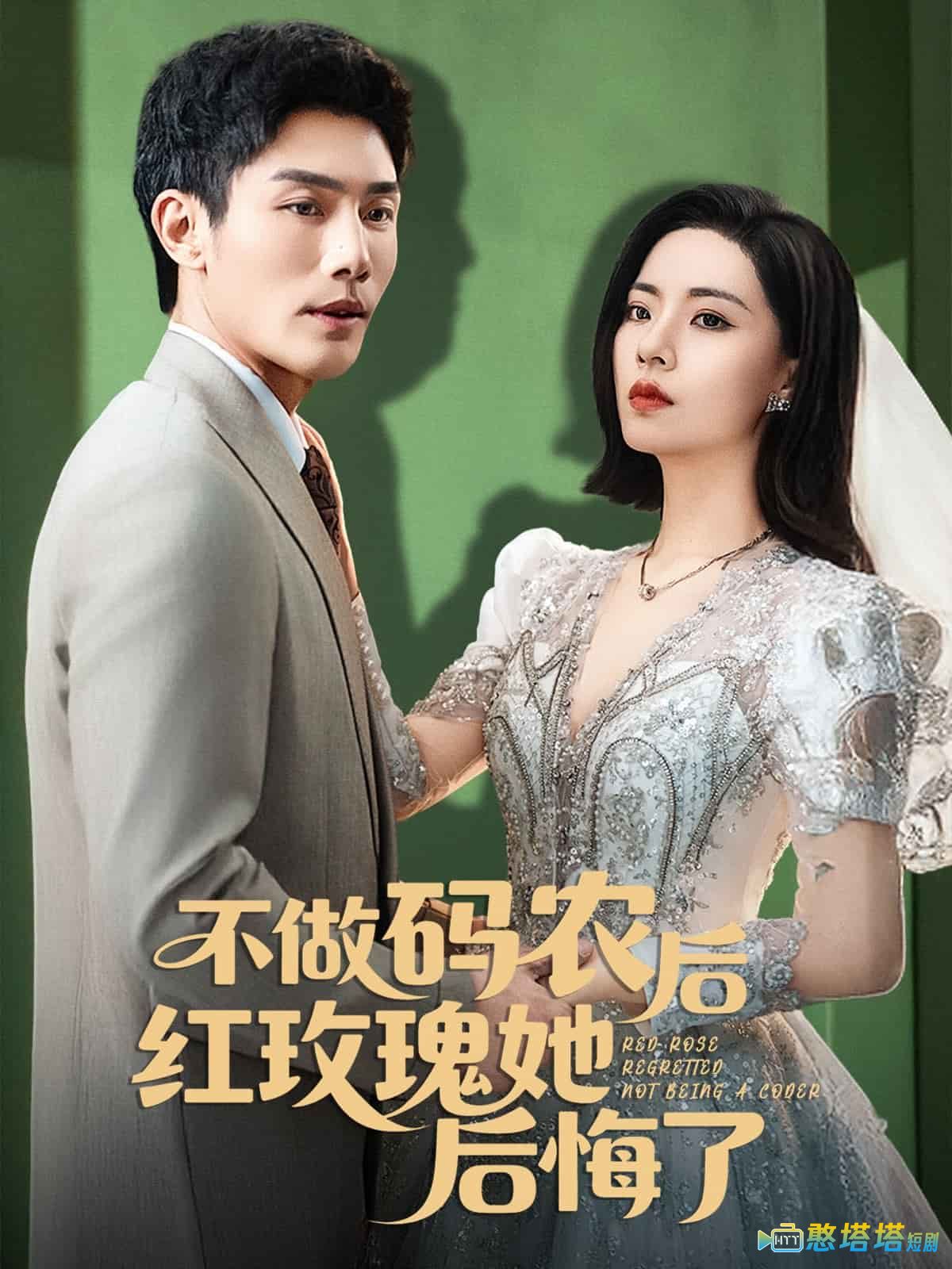 不做码农后红玫瑰她后悔了