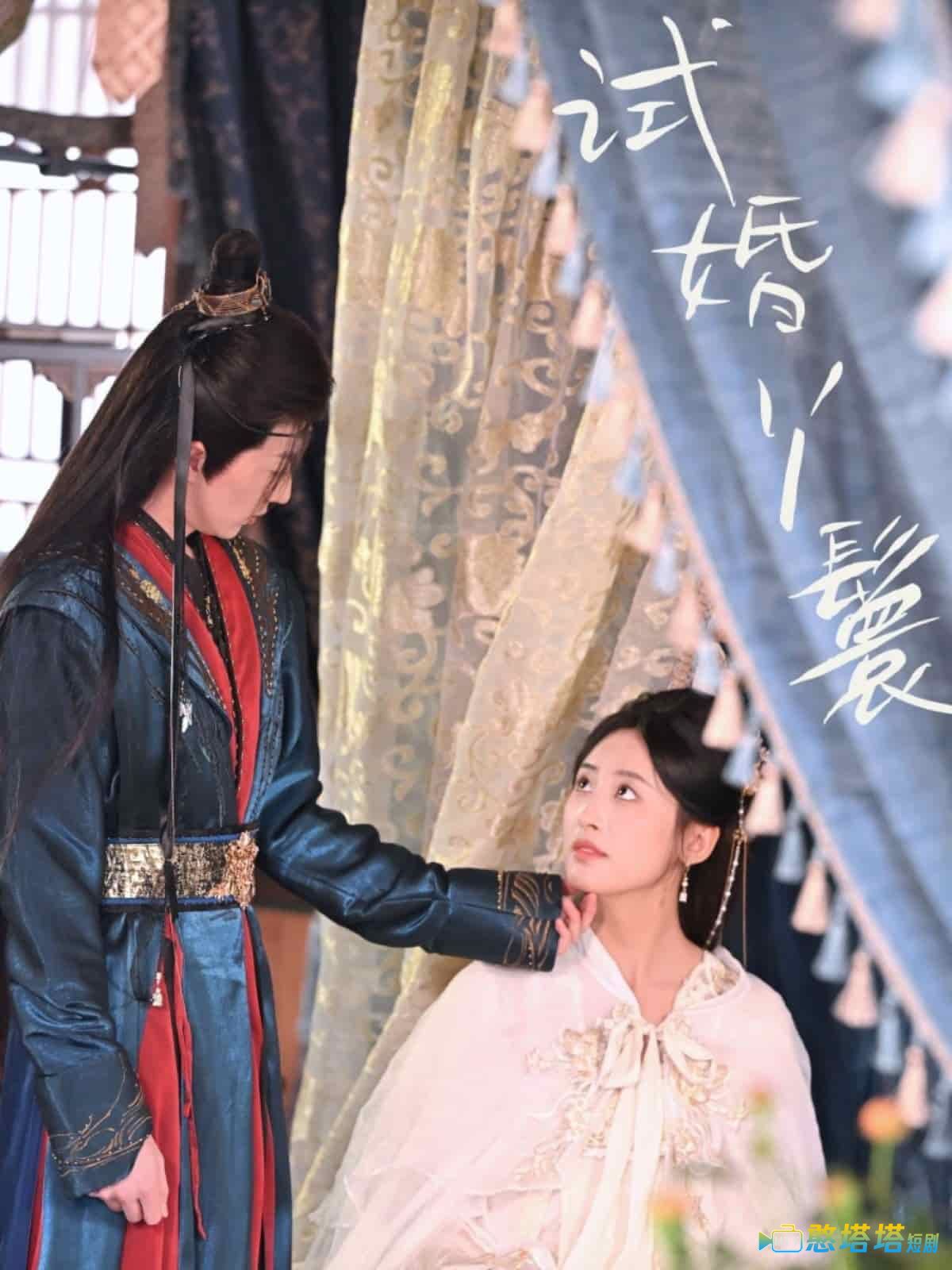 试婚丫鬟全集在线观看
