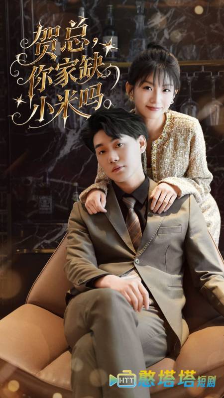 贺总你家缺小米吗全集在线观看