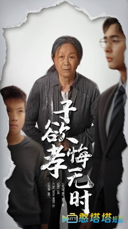 子欲孝悔无时全集在线观看