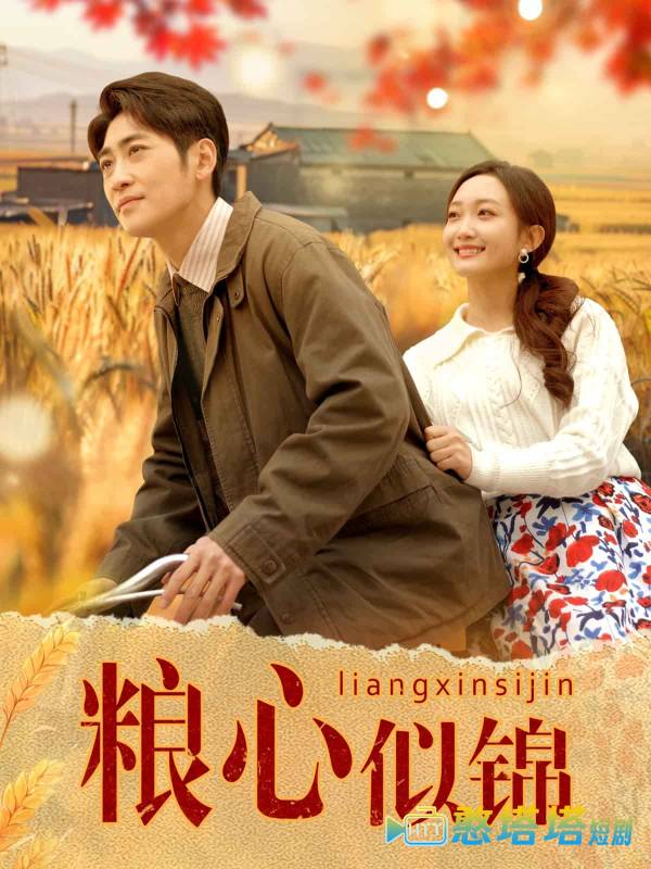 粮心似锦全集在线观看