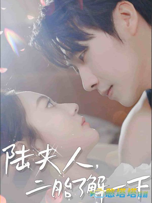 陆夫人,二胎了解一下全集在线观看