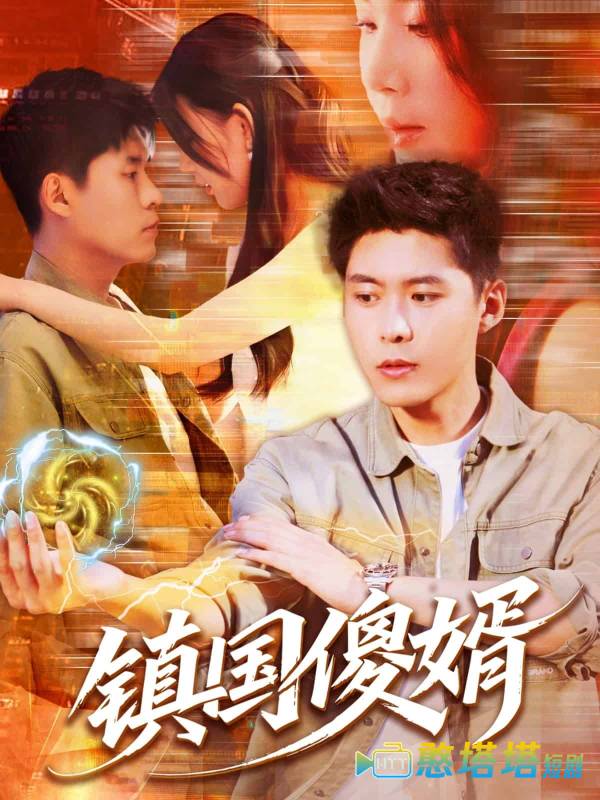镇国傻婿全集在线观看