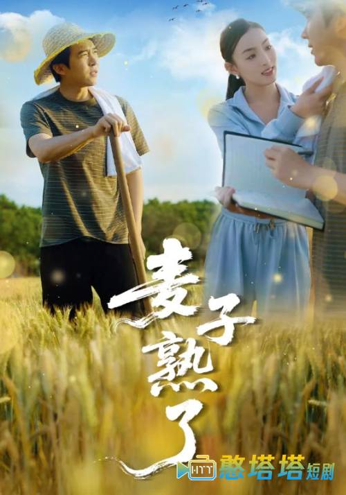 麦子熟了