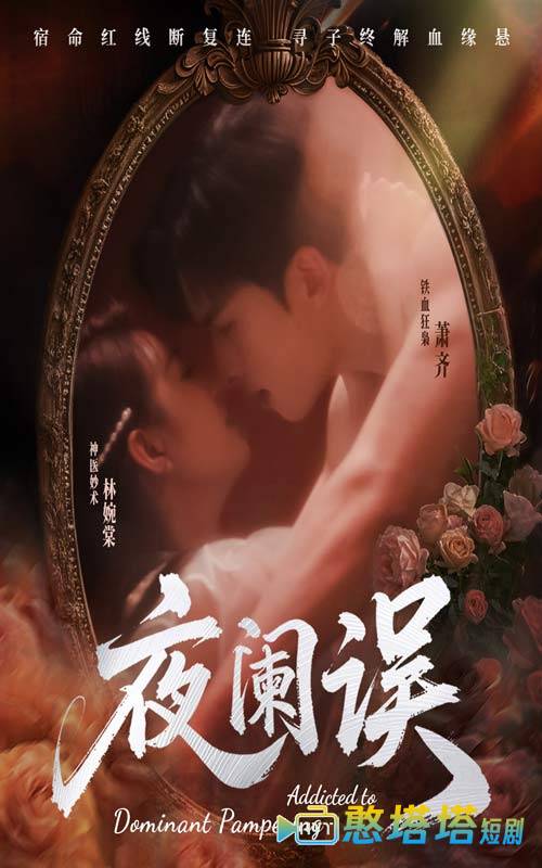 夜阑误全集在线观看