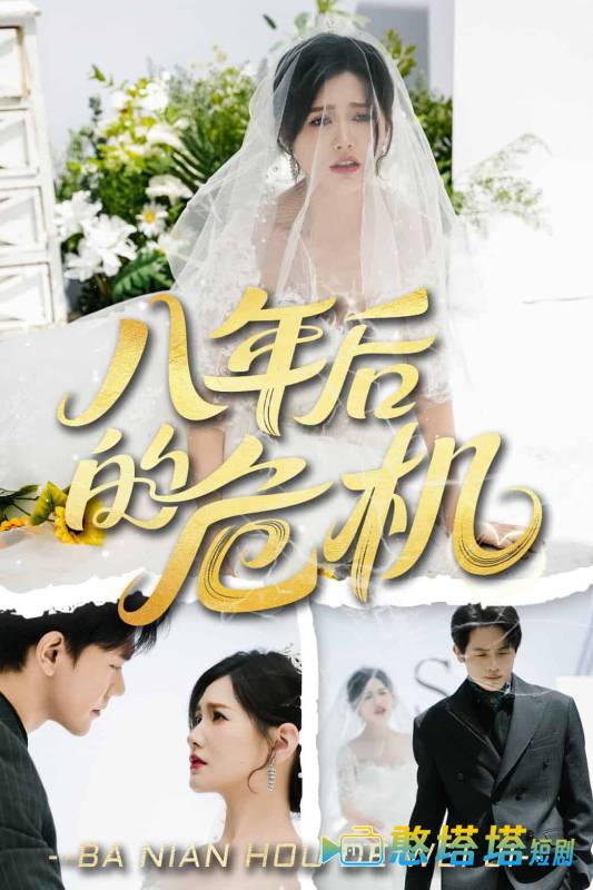 八年后的危机全集在线观看