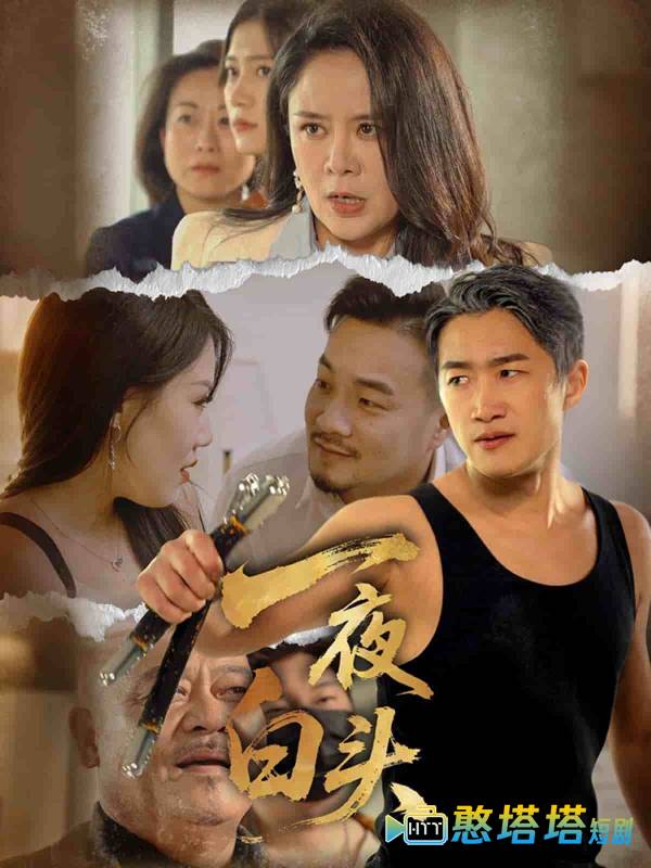 一夜白头全集在线观看