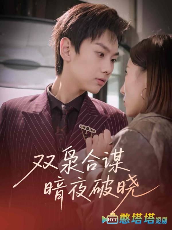 双枭合谋暗夜破晓全集在线观看