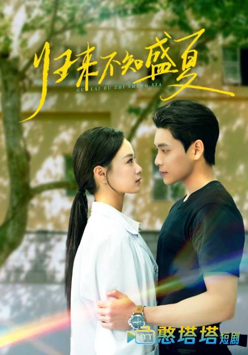 归来不知盛夏