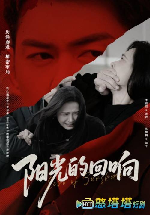 阳光的回响