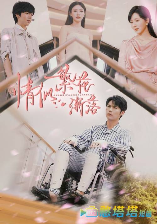 情似繁花渐落全集在线观看