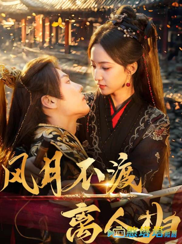风月不渡离人归全集在线观看