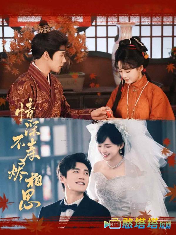 情深不寿烬相思全集在线观看