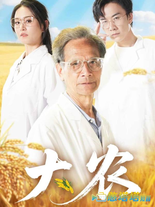 大农全集在线观看