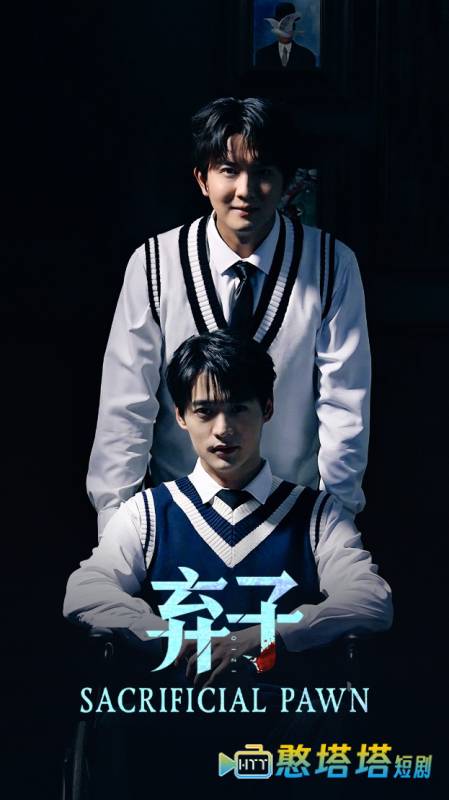 弃子全集在线观看