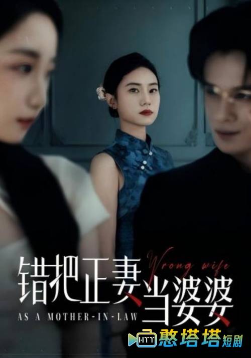 错把正妻当婆婆全集在线观看