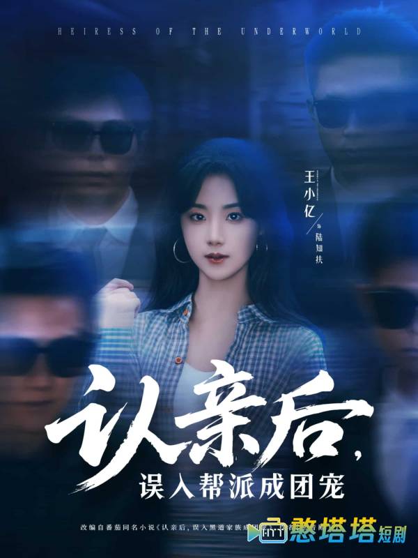 认亲后,误入帮派成团宠全集在线观看