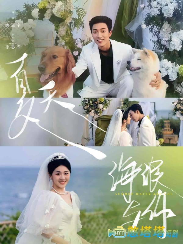 夏天,海浪与你全集在线观看