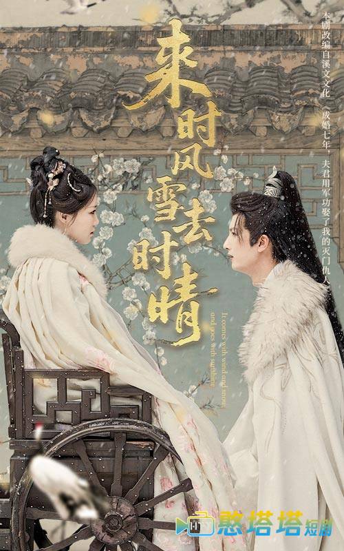 来时风雪去时晴全集在线观看