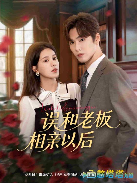误和老板相亲以后全集在线观看