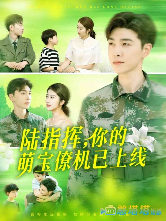 陆总你的萌宝已上线全集在线观看