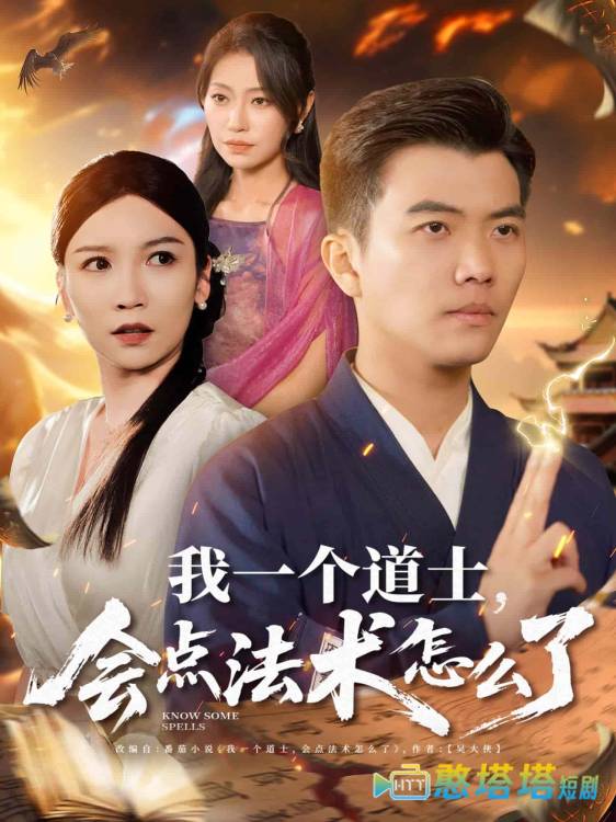 我一个道士会点法术怎么了全集在线观看