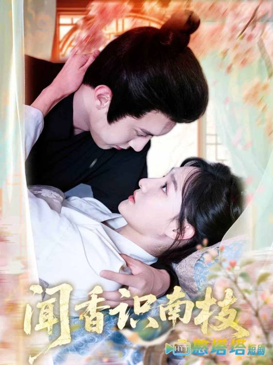 闻香识南枝全集在线观看