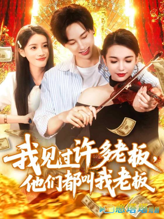 我见过许多老板，他们都叫我老板全集在线观看