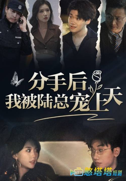 分手后,我被陆总宠上天全集在线观看