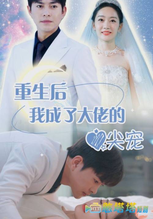 离婚后我成大佬心尖宠