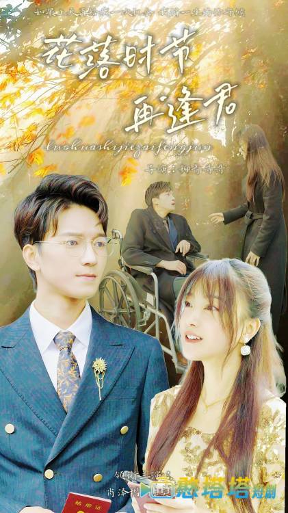 落花时节再逢君全集在线观看