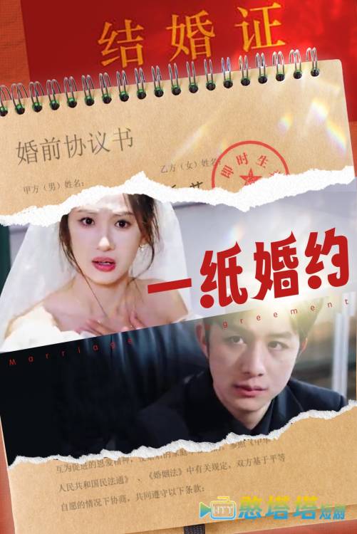  一纸婚约 短剧版 