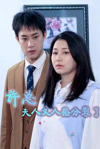 许总，夫人又人格分裂了全集在线观看