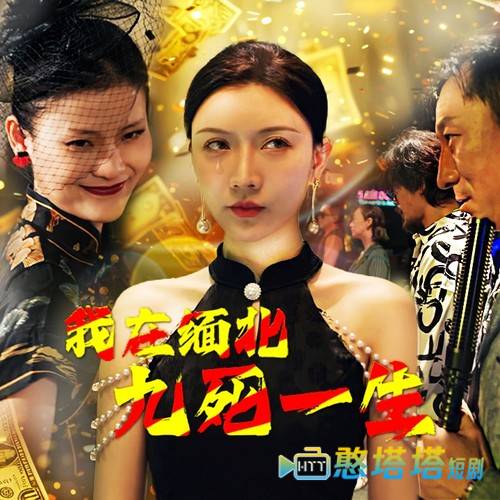 我在缅北九死一生全集在线观看