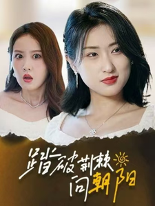 踏破荆棘向朝阳全集在线观看