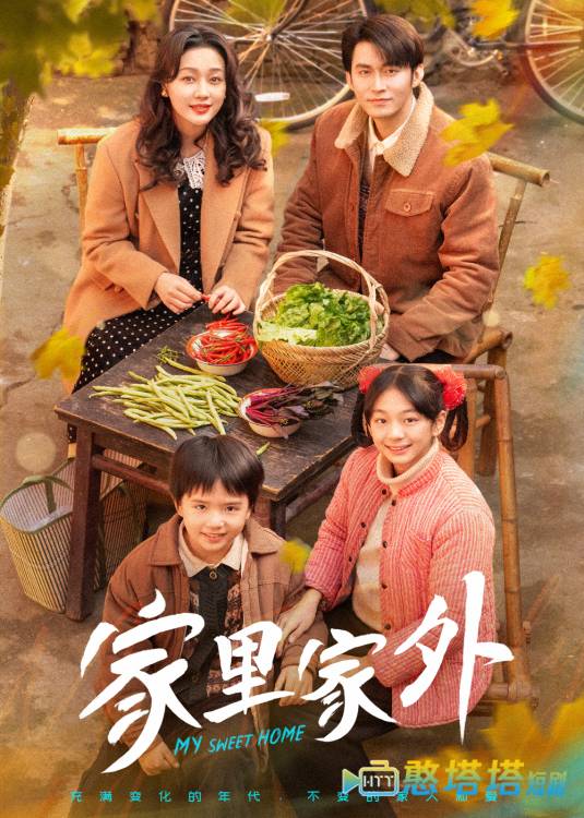 家里家外全集在线观看
